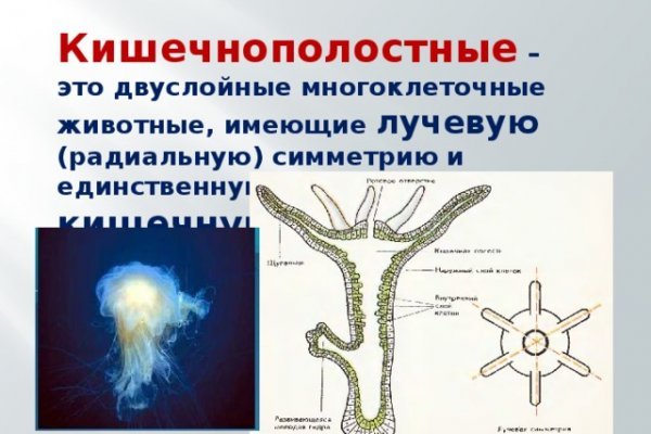 Кракен вход ссылка