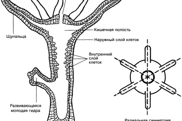 Аккаунты кракен